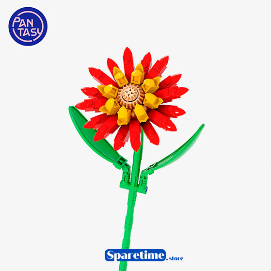 Red Barberton Daisy Regular Price