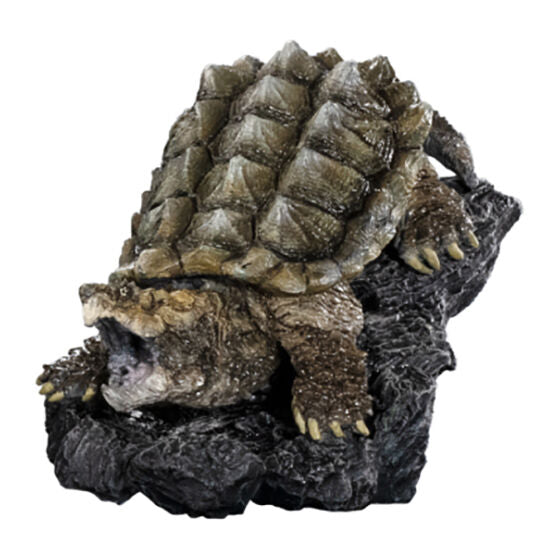 MINI COLLECTION TURTLE 01