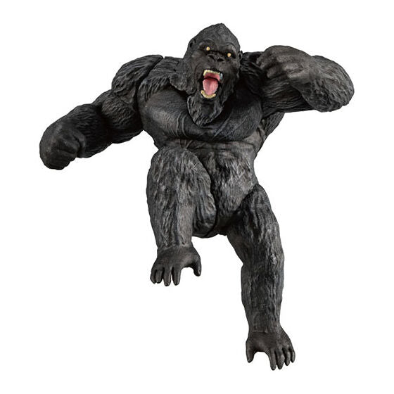 HG GODZILLA x KONG THE NEW EMPIRE