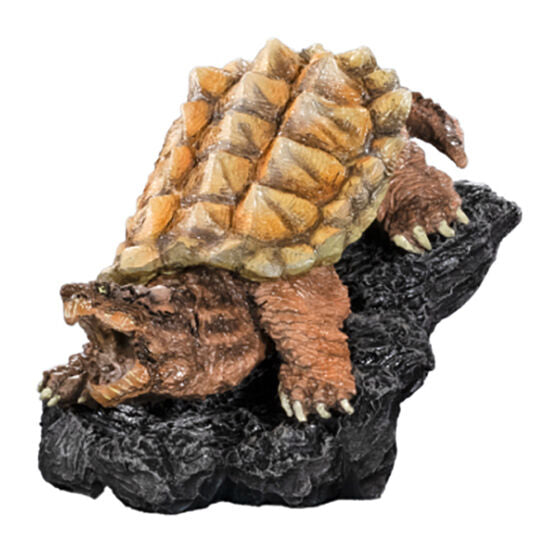 MINI COLLECTION TURTLE 01