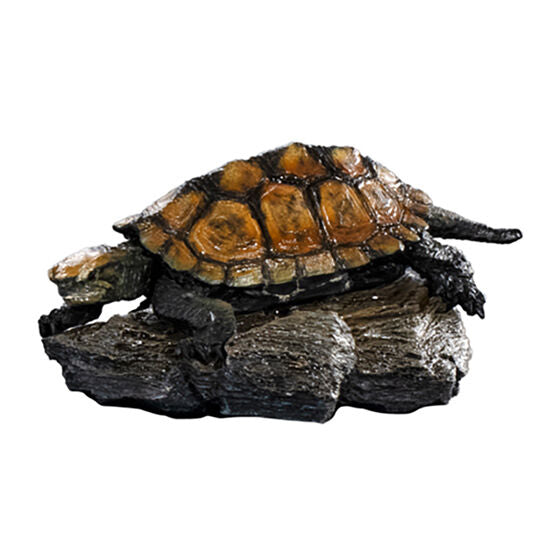 MINI COLLECTION TURTLE 01