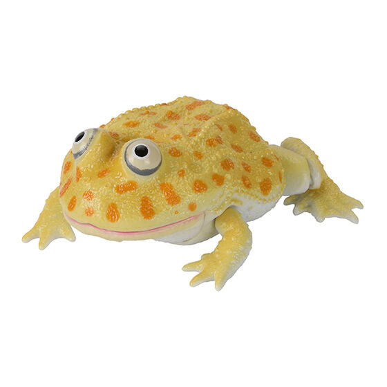 THE DIVERSITY OF LIFE ON EARTH REPTI LEPIDOBATRACHUS LAEVIS AND HORNED FROG