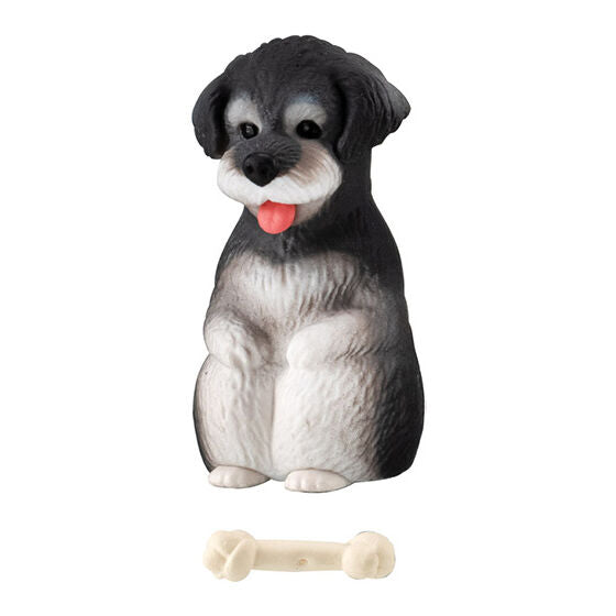 STILL WAITING FOR YOU DOG 2