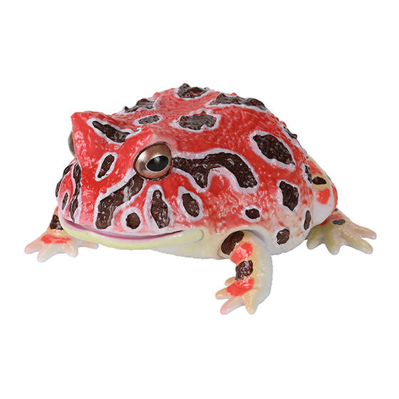 THE DIVERSITY OF LIFE ON EARTH REPTI LEPIDOBATRACHUS LAEVIS AND HORNED FROG