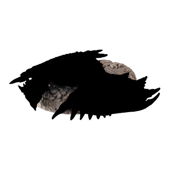 MONSTER HUNTER LET’S CAPTURE 2
