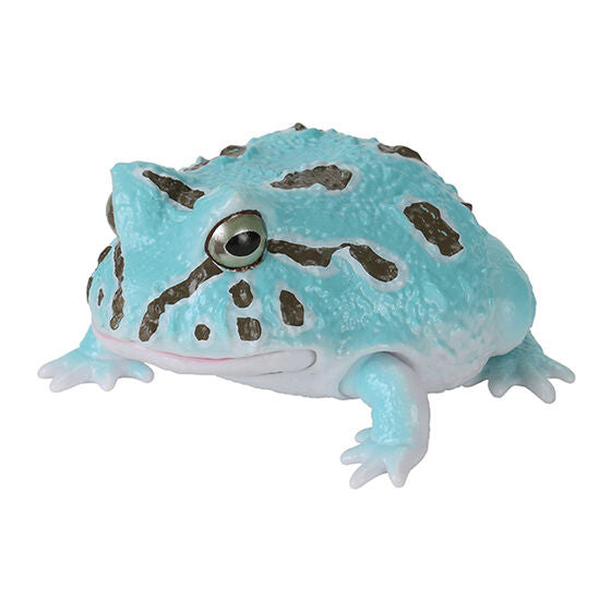 THE DIVERSITY OF LIFE ON EARTH REPTI LEPIDOBATRACHUS LAEVIS AND HORNED FROG