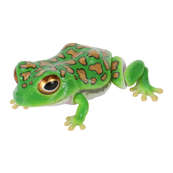 BUFO JAPONICUS AND ZHANGIXALUS