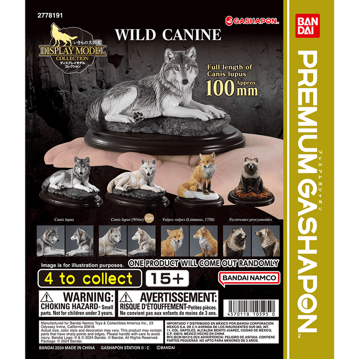 DISPLAY MODEL COLLECTION WILD CANINE