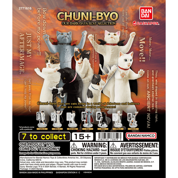 CHUNI-BYO OUR DARK DAYS BEST SELECTION