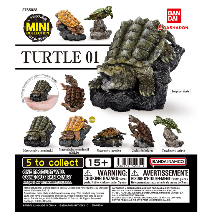 MINI COLLECTION TURTLE 01