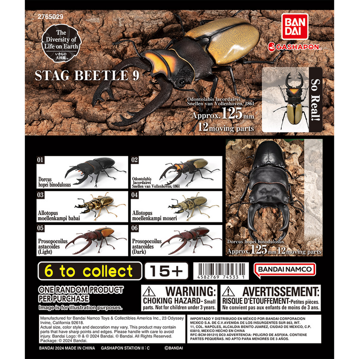 THE DIVERSITY OF LIFE ON EARTH STAG BEETLE 9