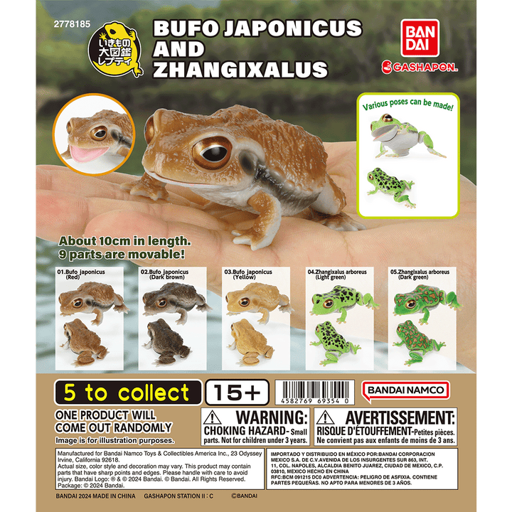 BUFO JAPONICUS AND ZHANGIXALUS