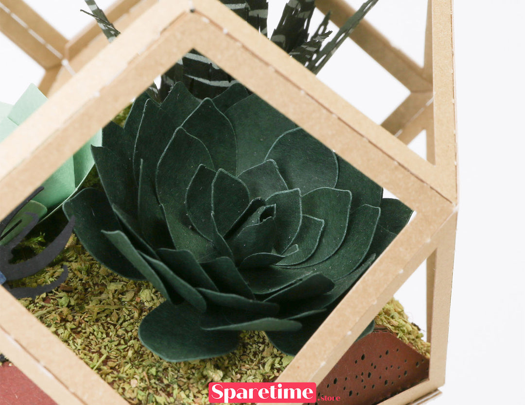 Paper Ornament DIY Kit / Succulent & Beetle jeancard 3d paper craft puzzle diy