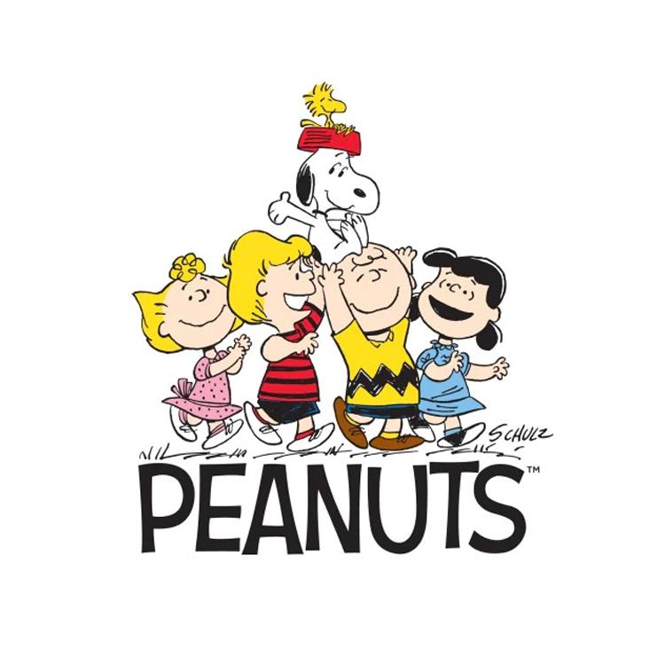 Peanuts Bricks