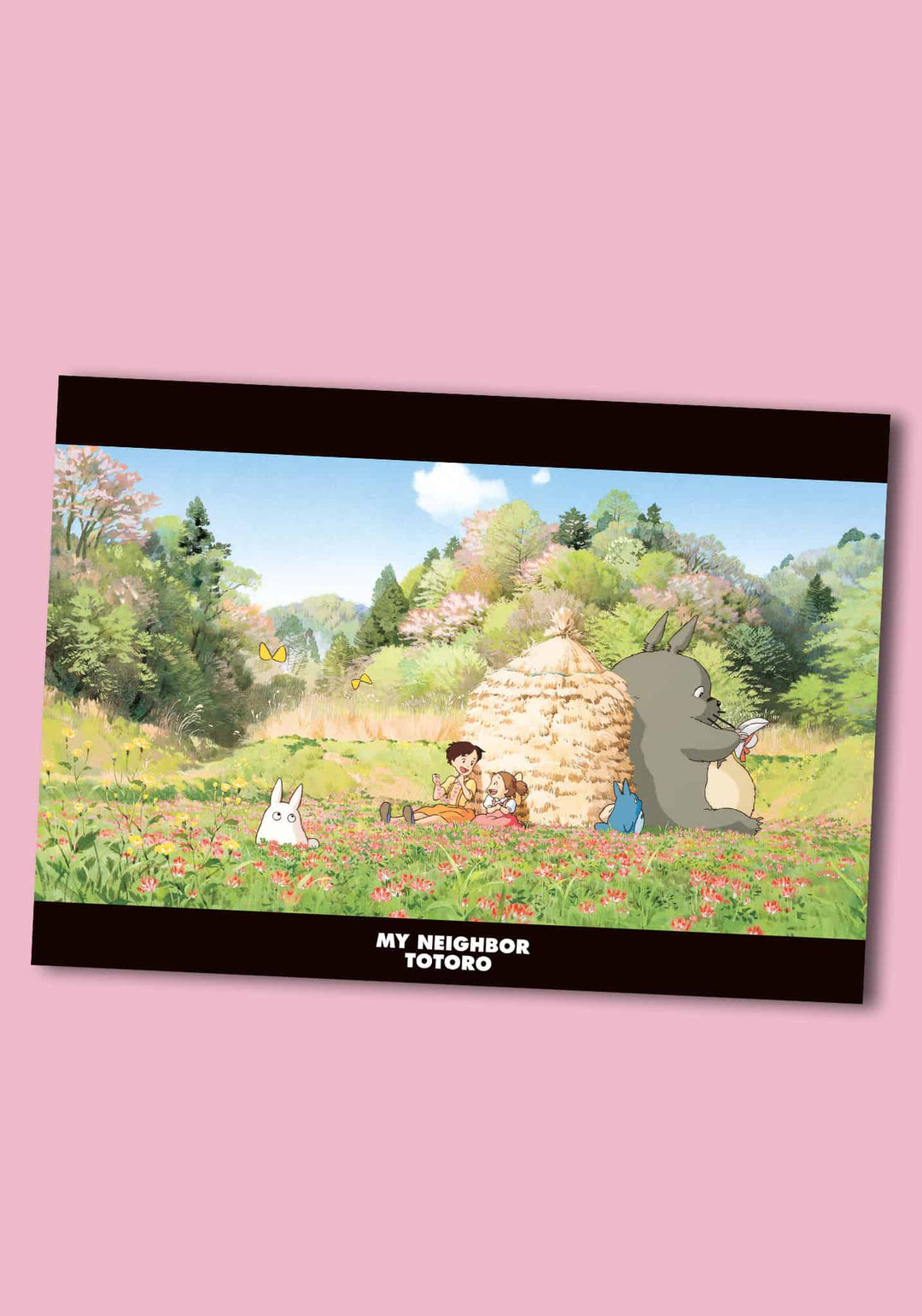Movic My Neighbor Totoro A4 Clear Document Folder (10)