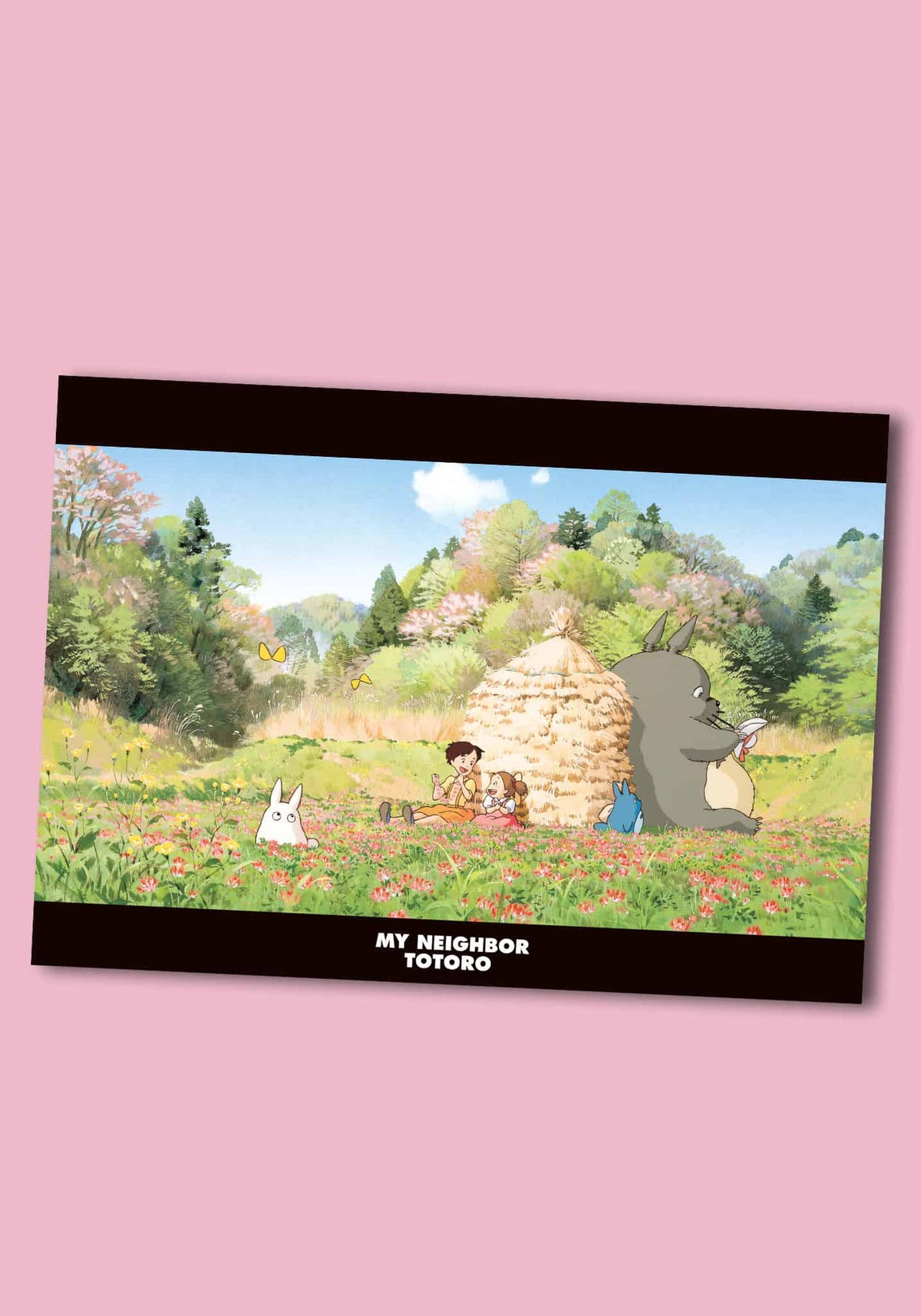 Movic My Neighbor Totoro A4 Clear Document Folder (10)