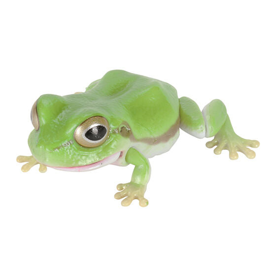 TREE FROG