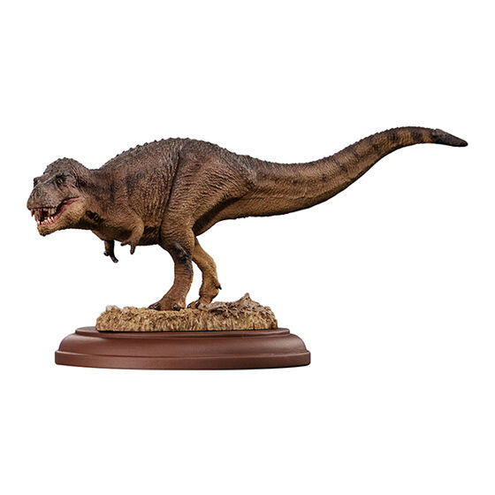 DISPLAY MODEL COLLECTION DINOSAUR 01