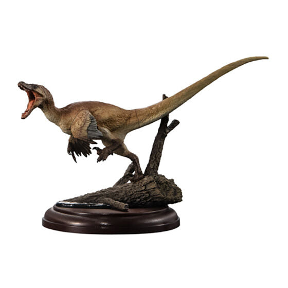 DISPLAY MODEL COLLECTION DINOSAUR 02