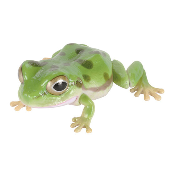 TREE FROG