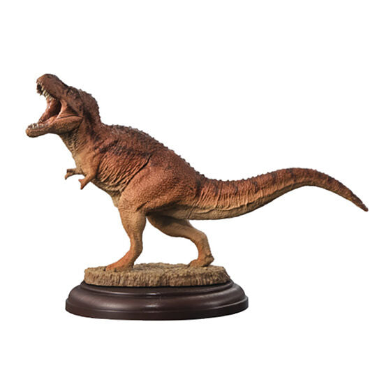 DISPLAY MODEL COLLECTION DINOSAUR 02