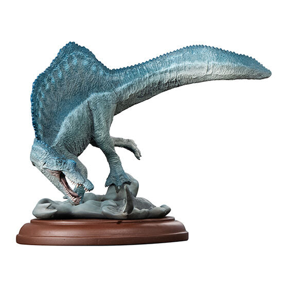 DISPLAY MODEL COLLECTION DINOSAUR 01