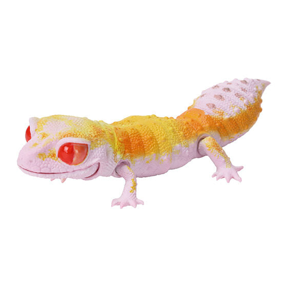 REPTILES SMOOTH KNOB-TAILED GECKO LEOPARD GECKO