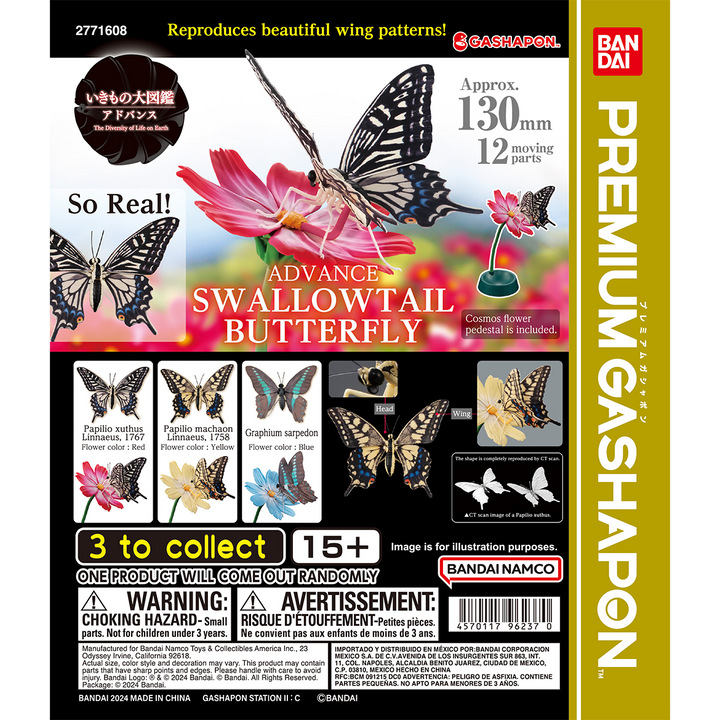 ADVANCE SWALLOWTAIL BUTTERFLY