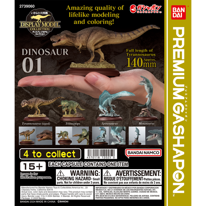 DISPLAY MODEL COLLECTION DINOSAUR 01