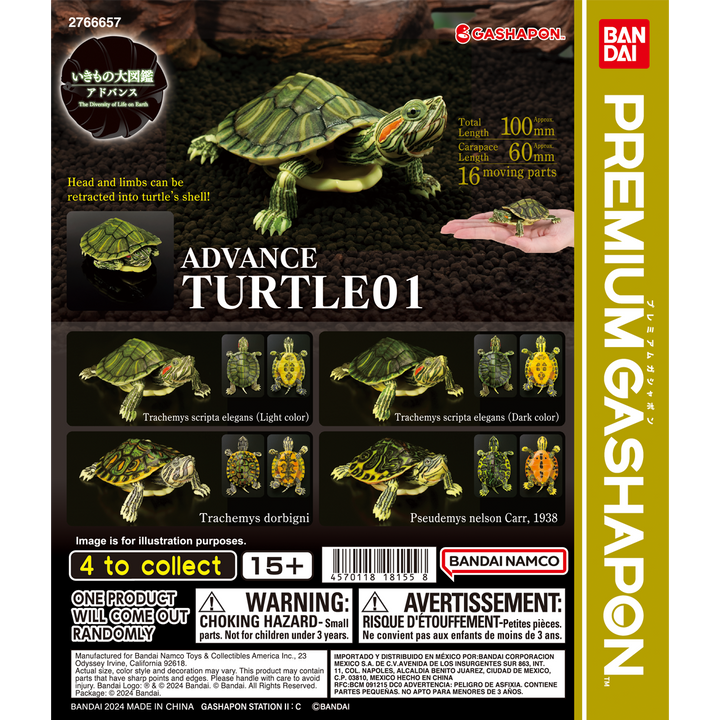 ADVANCE TURTLE 01