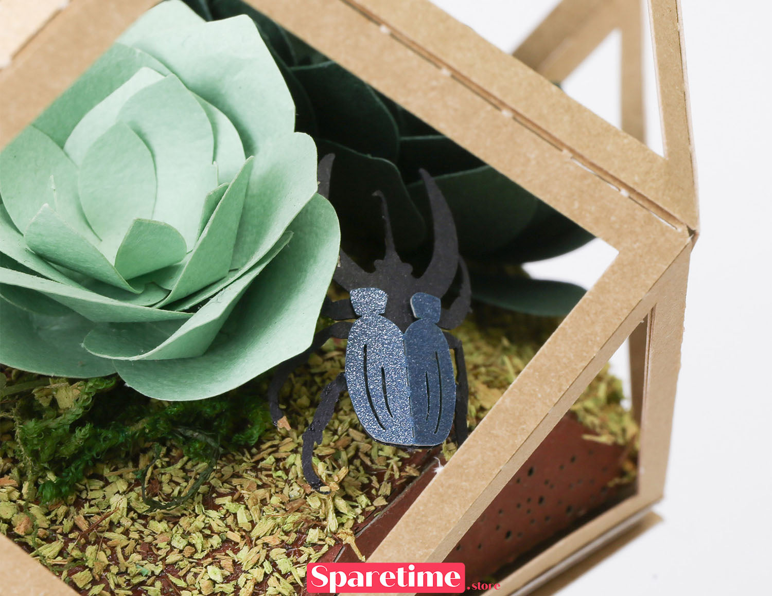 Paper Ornament DIY Kit / Succulent & Beetle jeancard 3d paper craft puzzle diy