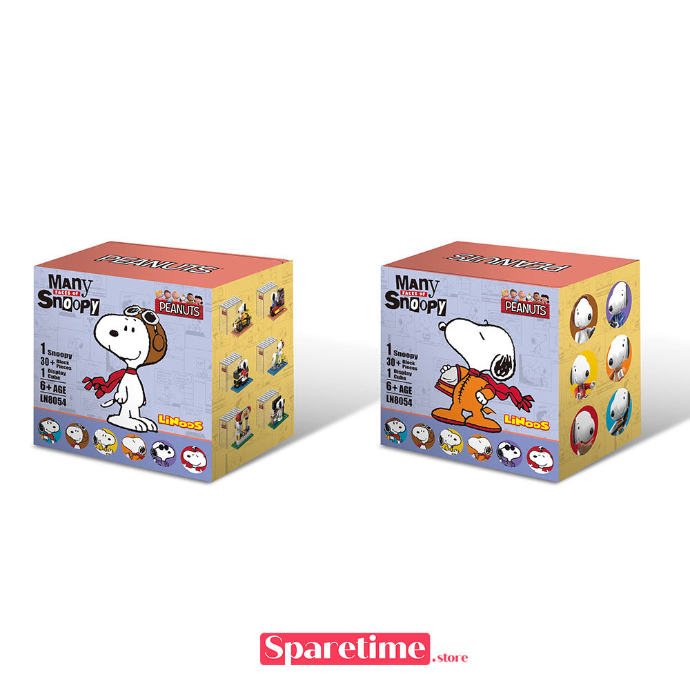 Linoos Peanuts Snoopy Anniversary Surprise Box
